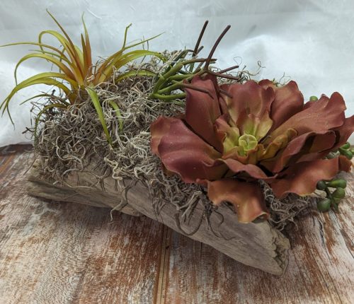 PXL_20240525_210845828