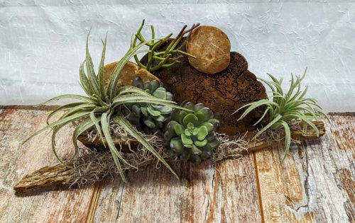 PXL_20240527_184230321~2