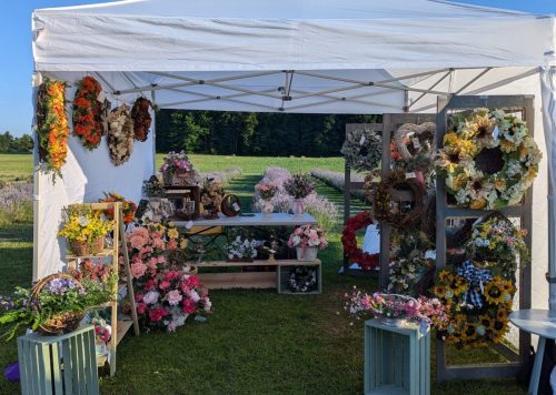 PXL_20240712_231642394