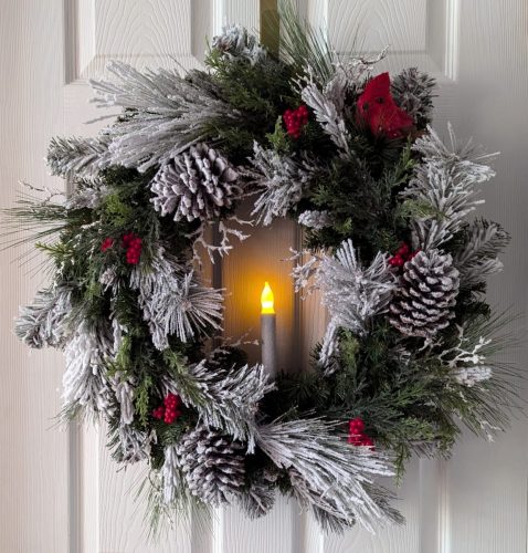 PXL_20241115_184441620