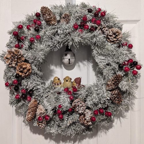 PXL_20241124_044244044