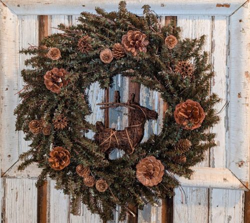 PXL_20241213_201146684~2