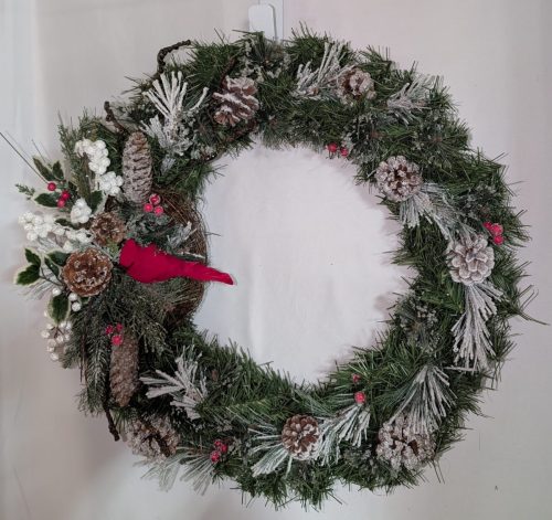 PXL_20260115_215258169